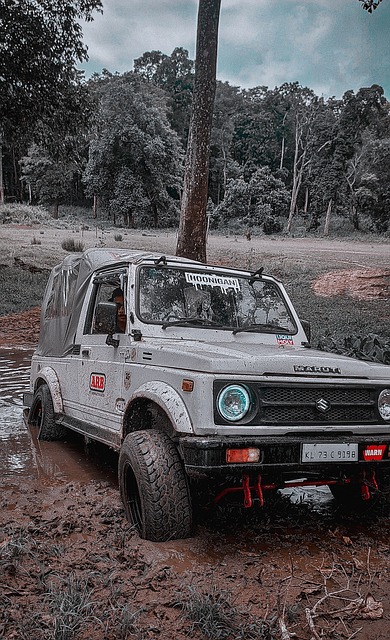 还能促进本 还能促进本