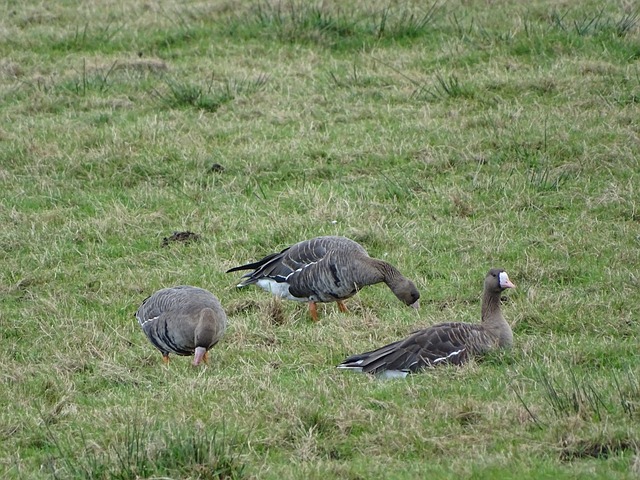 一块重要资 一块重要资